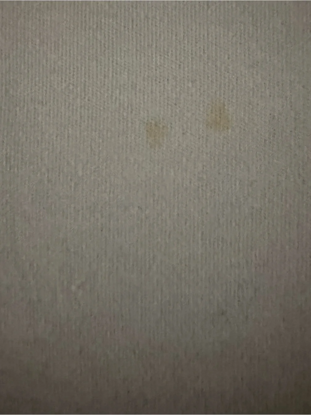 Ralph Lauren Light Blue Polo with Orange Pony